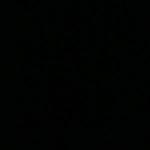 Meet your Posher, Samuel